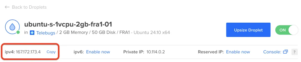 IP v4 address copying