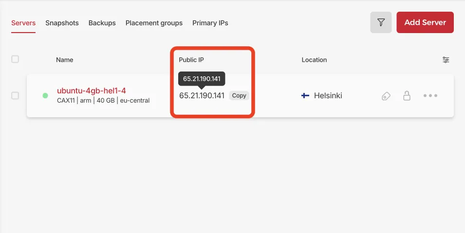 Public IP of a server