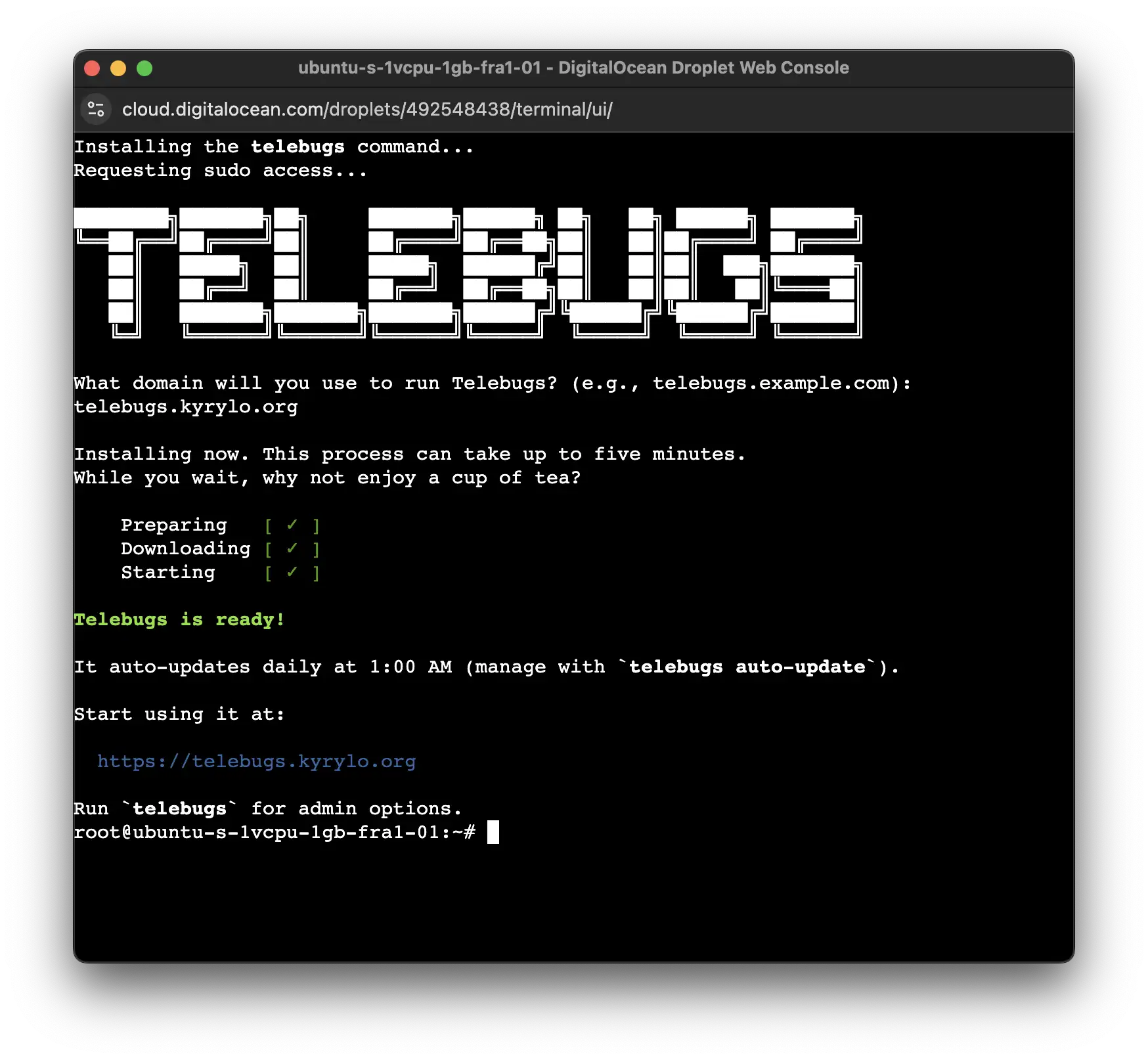 Successful Telebugs installation